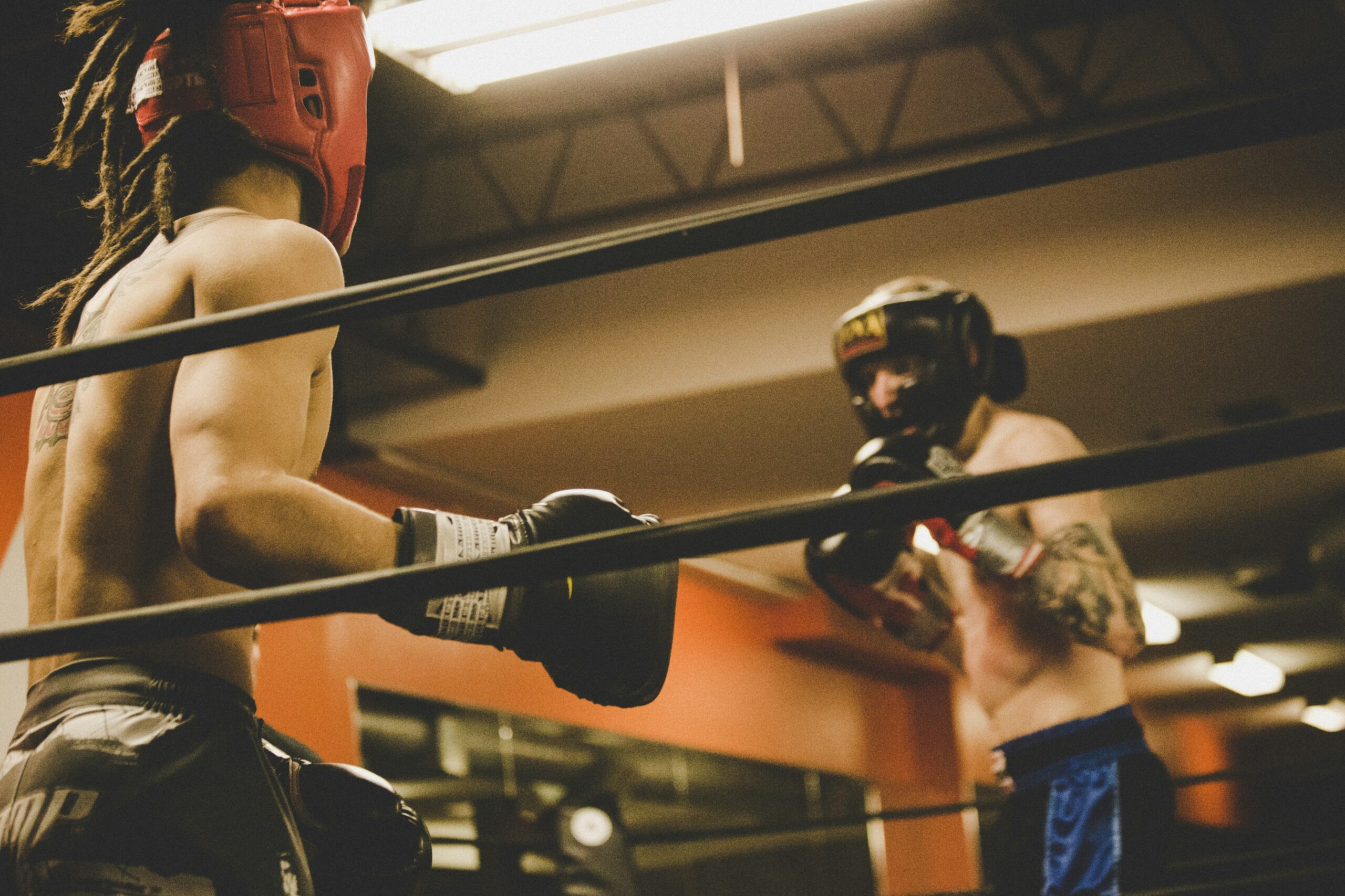 Biotech to Boxing